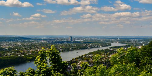 Rhein, Natur, Bonn.jpg